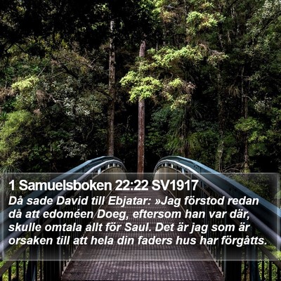 1 Samuelsboken 22:22 SV1917 Bible Verse Image