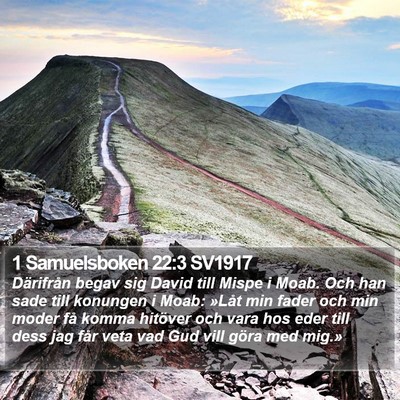 1 Samuelsboken 22:3 SV1917 Bible Verse Image