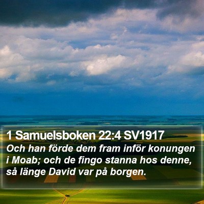 1 Samuelsboken 22:4 SV1917 Bible Verse Image