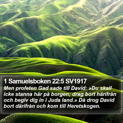 1 Samuelsboken 22:5 SV1917 Bible Verse Image