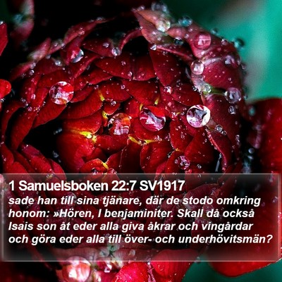 1 Samuelsboken 22:7 SV1917 Bible Verse Image