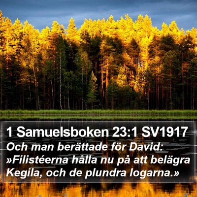 1 Samuelsboken 23:1 SV1917 Bible Verse Image