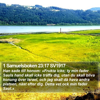 1 Samuelsboken 23:17 SV1917 Bible Verse Image
