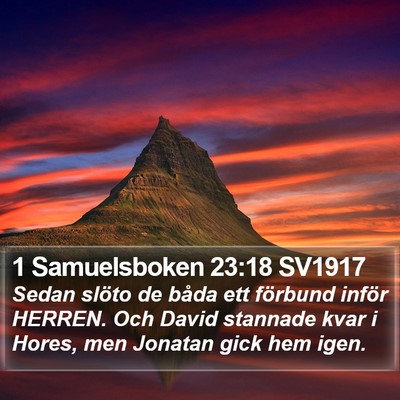 1 Samuelsboken 23:18 SV1917 Bible Verse Image
