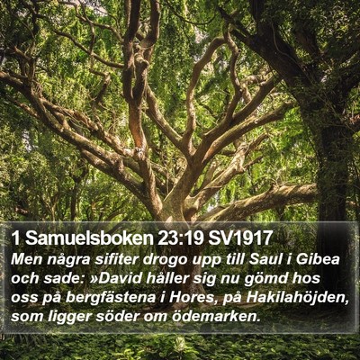 1 Samuelsboken 23:19 SV1917 Bible Verse Image