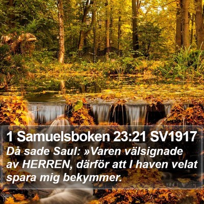 1 Samuelsboken 23:21 SV1917 Bible Verse Image