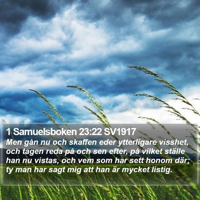 1 Samuelsboken 23:22 SV1917 Bible Verse Image