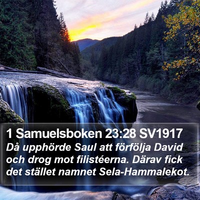 1 Samuelsboken 23:28 SV1917 Bible Verse Image