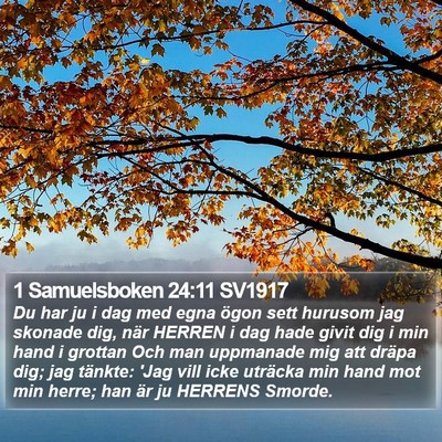 1 Samuelsboken 24:11 SV1917 Bible Verse Image