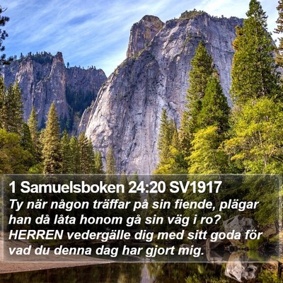 1 Samuelsboken 24:20 SV1917 Bible Verse Image