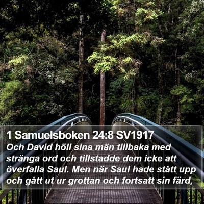 1 Samuelsboken 24:8 SV1917 Bible Verse Image