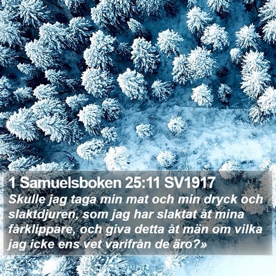 1 Samuelsboken 25:11 SV1917 Bible Verse Image