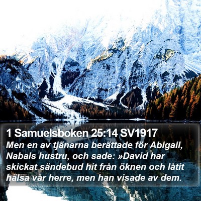 1 Samuelsboken 25:14 SV1917 Bible Verse Image