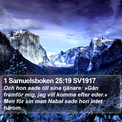 1 Samuelsboken 25:19 SV1917 Bible Verse Image