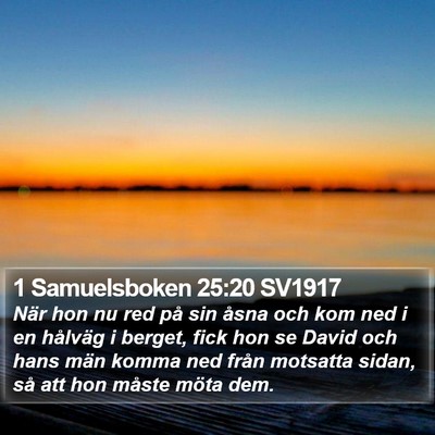 1 Samuelsboken 25:20 SV1917 Bible Verse Image