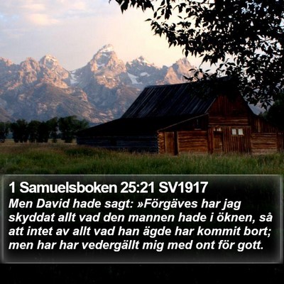 1 Samuelsboken 25:21 SV1917 Bible Verse Image