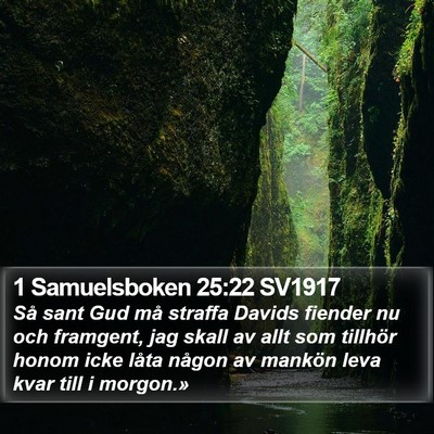 1 Samuelsboken 25:22 SV1917 Bible Verse Image