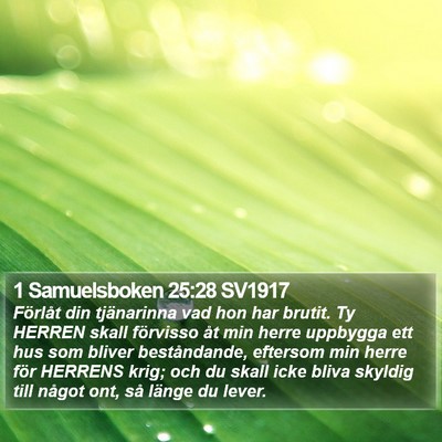 1 Samuelsboken 25:28 SV1917 Bible Verse Image