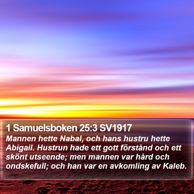 1 Samuelsboken 25:3 SV1917 Bible Verse Image