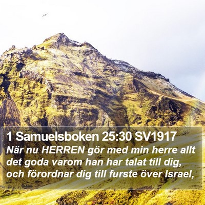 1 Samuelsboken 25:30 SV1917 Bible Verse Image