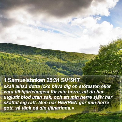 1 Samuelsboken 25:31 SV1917 Bible Verse Image