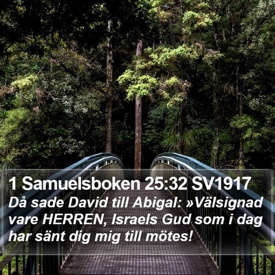 1 Samuelsboken 25:32 SV1917 Bible Verse Image