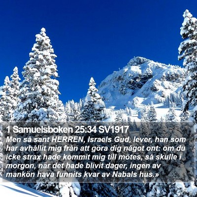 1 Samuelsboken 25:34 SV1917 Bible Verse Image