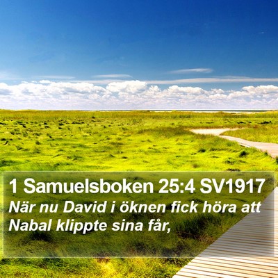 1 Samuelsboken 25:4 SV1917 Bible Verse Image