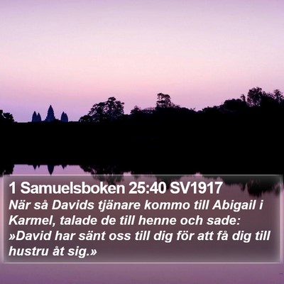 1 Samuelsboken 25:40 SV1917 Bible Verse Image