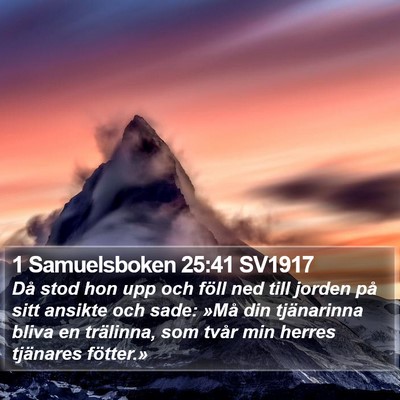 1 Samuelsboken 25:41 SV1917 Bible Verse Image