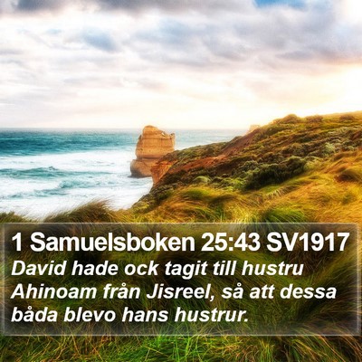 1 Samuelsboken 25:43 SV1917 Bible Verse Image