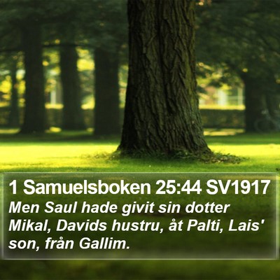 1 Samuelsboken 25:44 SV1917 Bible Verse Image