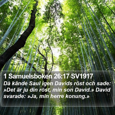 1 Samuelsboken 26:17 SV1917 Bible Verse Image