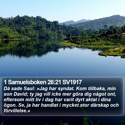 1 Samuelsboken 26:21 SV1917 Bible Verse Image