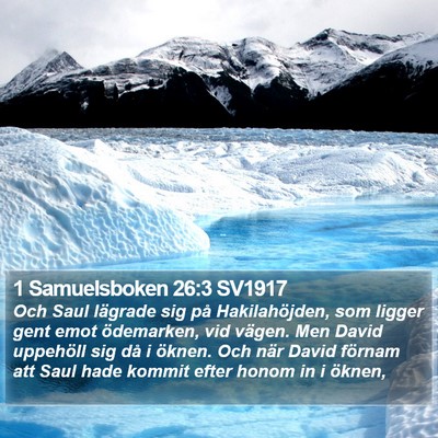 1 Samuelsboken 26:3 SV1917 Bible Verse Image