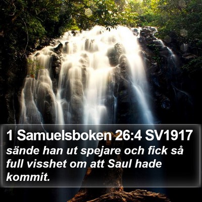 1 Samuelsboken 26:4 SV1917 Bible Verse Image