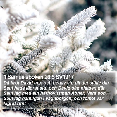 1 Samuelsboken 26:5 SV1917 Bible Verse Image