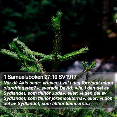 1 Samuelsboken 27:10 SV1917 Bible Verse Image