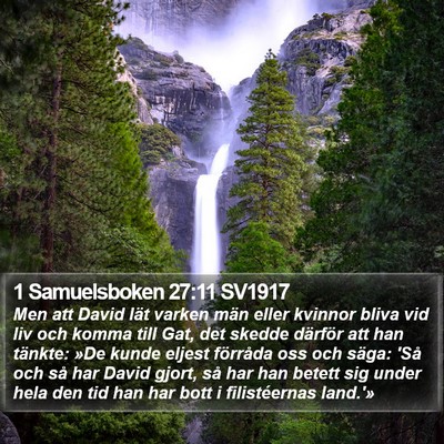 1 Samuelsboken 27:11 SV1917 Bible Verse Image