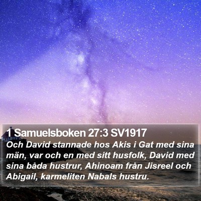 1 Samuelsboken 27:3 SV1917 Bible Verse Image