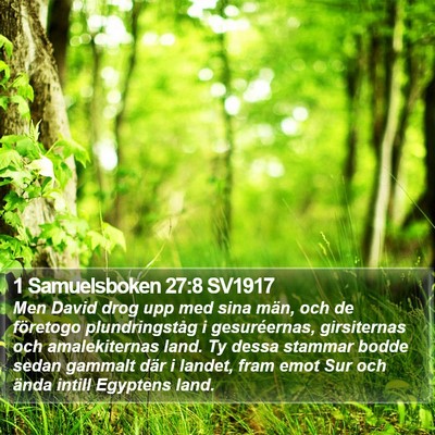 1 Samuelsboken 27:8 SV1917 Bible Verse Image