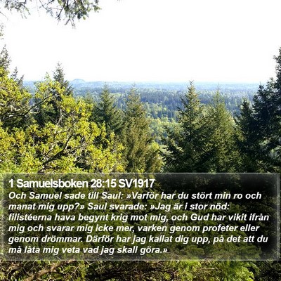 1 Samuelsboken 28:15 SV1917 Bible Verse Image