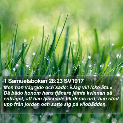 1 Samuelsboken 28:23 SV1917 Bible Verse Image