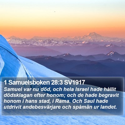 1 Samuelsboken 28:3 SV1917 Bible Verse Image