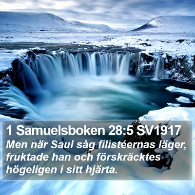 1 Samuelsboken 28:5 SV1917 Bible Verse Image