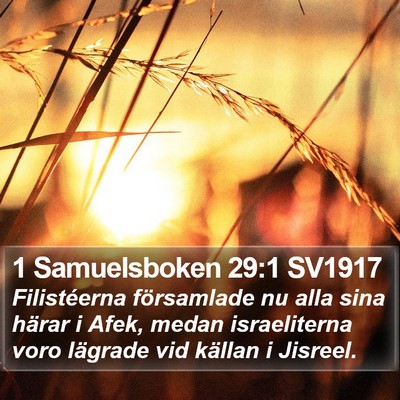 1 Samuelsboken 29:1 SV1917 Bible Verse Image