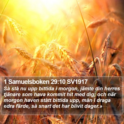 1 Samuelsboken 29:10 SV1917 Bible Verse Image