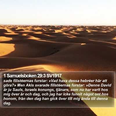 1 Samuelsboken 29:3 SV1917 Bible Verse Image