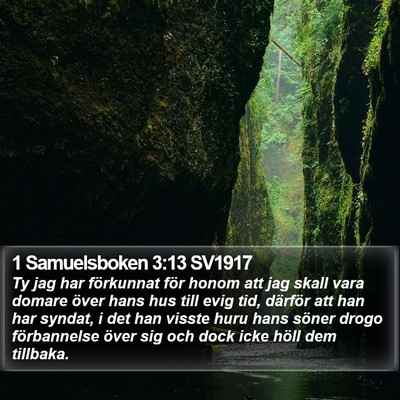 1 Samuelsboken 3:13 SV1917 Bible Verse Image