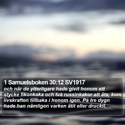 1 Samuelsboken 30:12 SV1917 Bible Verse Image